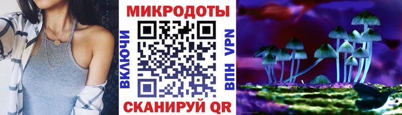 Псилоцибиновые грибы Psilocybe  Лебедянь 